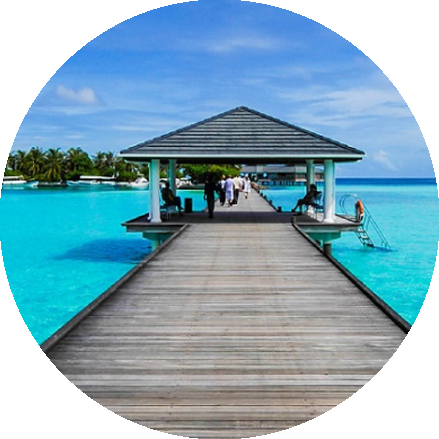 Diamond Director - FarmaCity Trip